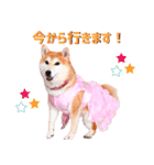どらやきちゃんの可愛いスタンプです！（個別スタンプ：6）