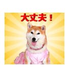 どらやきちゃんの可愛いスタンプです！（個別スタンプ：12）