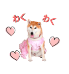 どらやきちゃんの可愛いスタンプです！（個別スタンプ：13）
