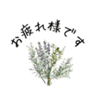 想いを添える＊お花とメッセージ（個別スタンプ：1）