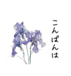 想いを添える＊お花とメッセージ（個別スタンプ：16）