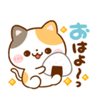 毎日使える♪ねこねこにゃんこ（個別スタンプ：6）