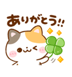 毎日使える♪ねこねこにゃんこ（個別スタンプ：7）