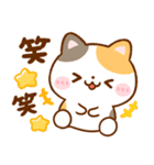 毎日使える♪ねこねこにゃんこ（個別スタンプ：16）