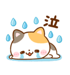 毎日使える♪ねこねこにゃんこ（個別スタンプ：19）