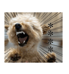くまプーの茶々3（個別スタンプ：5）