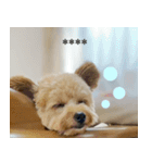 くまプーの茶々3（個別スタンプ：9）