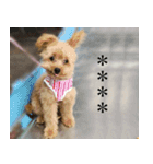 くまプーの茶々3（個別スタンプ：14）