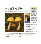 ⚫架空のキノコ図鑑で日常会話 シュール下品（個別スタンプ：1）
