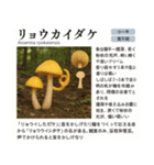 ⚫架空のキノコ図鑑で日常会話 シュール下品（個別スタンプ：4）