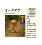 ⚫架空のキノコ図鑑で日常会話 シュール下品（個別スタンプ：15）