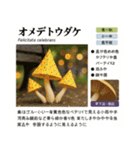 ⚫架空のキノコ図鑑で日常会話 シュール下品（個別スタンプ：16）