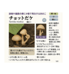 ⚫架空のキノコ図鑑で日常会話 シュール下品（個別スタンプ：18）