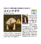 ⚫架空のキノコ図鑑で日常会話 シュール下品（個別スタンプ：19）