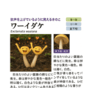 ⚫架空のキノコ図鑑で日常会話 シュール下品（個別スタンプ：25）