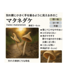 ⚫架空のキノコ図鑑で日常会話 シュール下品（個別スタンプ：27）