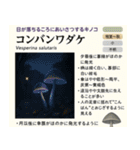 ⚫架空のキノコ図鑑で日常会話 シュール下品（個別スタンプ：31）