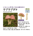 ⚫架空のキノコ図鑑で日常会話 シュール下品（個別スタンプ：32）