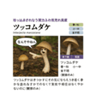 ⚫架空のキノコ図鑑で日常会話 シュール下品（個別スタンプ：33）