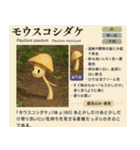 ⚫架空のキノコ図鑑で日常会話 シュール下品（個別スタンプ：35）