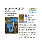 ⚫架空のキノコ図鑑で日常会話 シュール下品（個別スタンプ：39）
