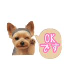 ヨーキーりこちゃんの愛されスタンプ（個別スタンプ：1）