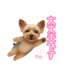 ヨーキーりこちゃんの愛されスタンプ（個別スタンプ：6）