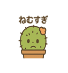 ゆるっとサボテンさんのきまぐれ日和（個別スタンプ：13）