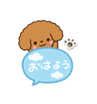 トイプードル【レッド】吹き出し（個別スタンプ：1）