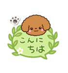 トイプードル【レッド】吹き出し（個別スタンプ：2）
