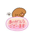 トイプードル【レッド】吹き出し（個別スタンプ：7）