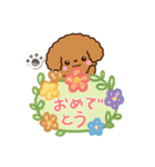 トイプードル【レッド】吹き出し（個別スタンプ：8）