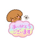 トイプードル【レッド】吹き出し（個別スタンプ：9）