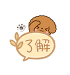 トイプードル【レッド】吹き出し（個別スタンプ：10）
