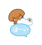 トイプードル【レッド】吹き出し（個別スタンプ：12）