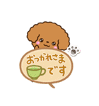 トイプードル【レッド】吹き出し（個別スタンプ：16）
