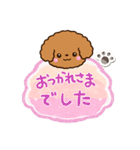 トイプードル【レッド】吹き出し（個別スタンプ：20）