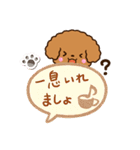 トイプードル【レッド】吹き出し（個別スタンプ：21）