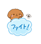 トイプードル【レッド】吹き出し（個別スタンプ：23）