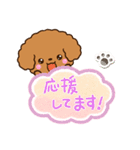 トイプードル【レッド】吹き出し（個別スタンプ：24）