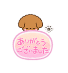 トイプードル【レッド】吹き出し（個別スタンプ：27）
