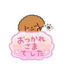 トイプードル【レッド】吹き出し（個別スタンプ：29）