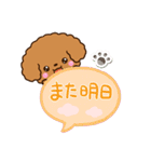トイプードル【レッド】吹き出し（個別スタンプ：30）