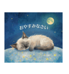 月夜のチャロと星のことば（個別スタンプ：2）