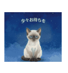 月夜のチャロと星のことば（個別スタンプ：11）