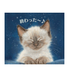 月夜のチャロと星のことば（個別スタンプ：15）