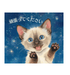 月夜のチャロと星のことば（個別スタンプ：16）