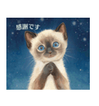 月夜のチャロと星のことば（個別スタンプ：20）