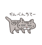 ボスにゃんこラプソディ（個別スタンプ：16）