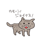 ボスにゃんこラプソディ（個別スタンプ：17）